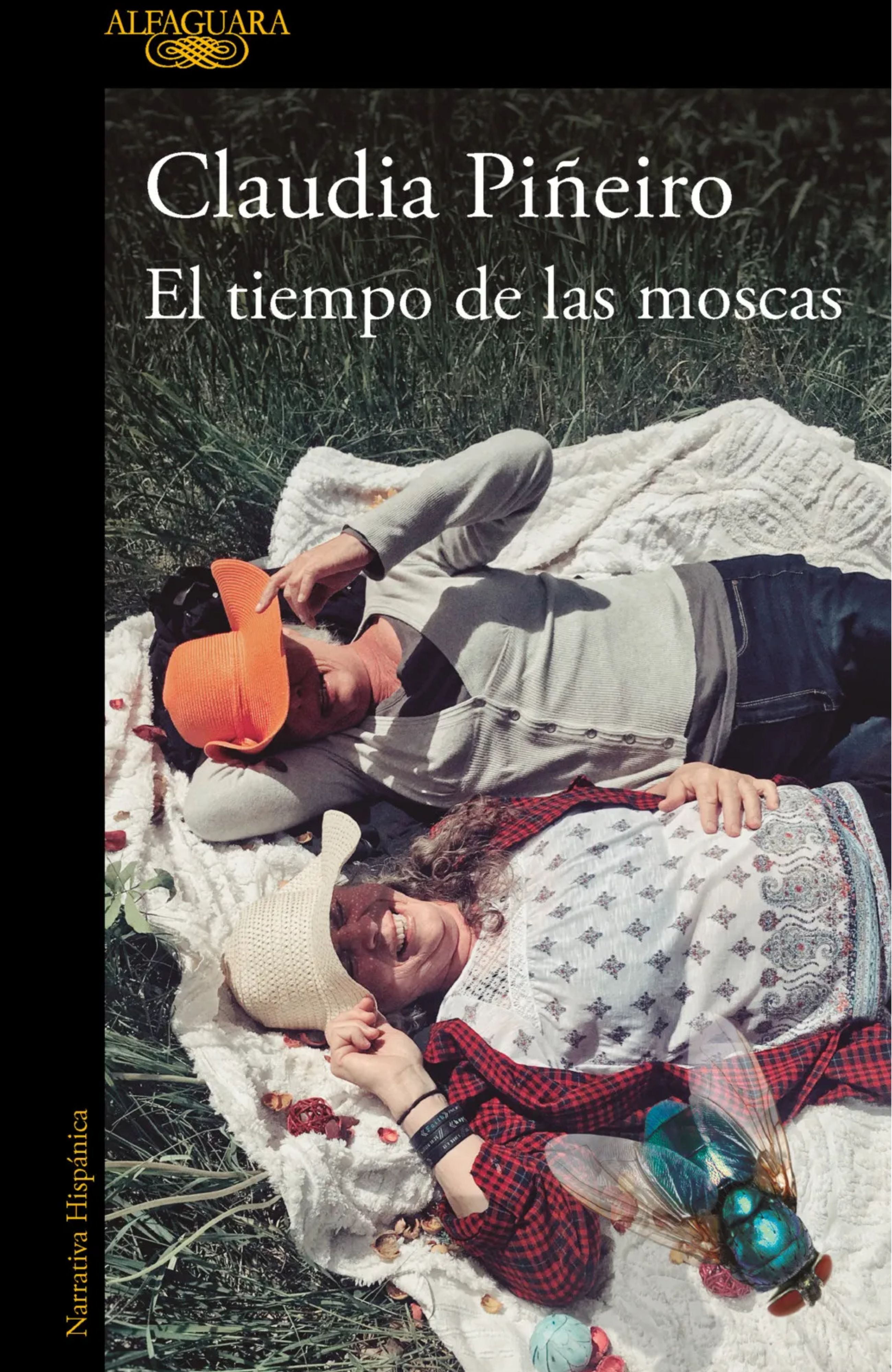 El tiempo de las moscas, Claudia Piñeiro