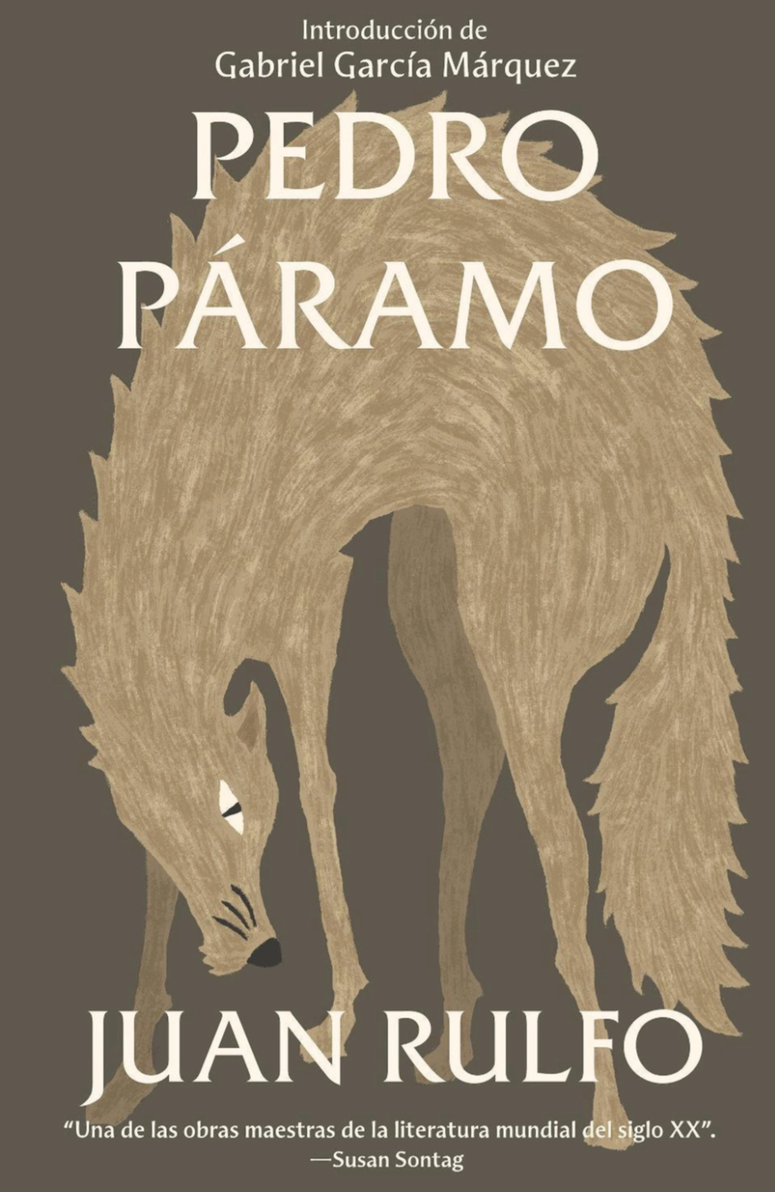 Pedro Páramo, Juan Rulfo